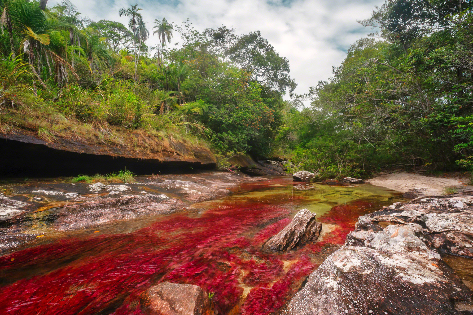 Cano-Cristales-rio