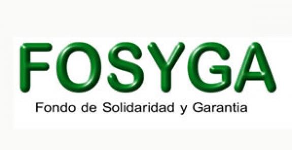 FOSYGA Fondo de Solidaridad y Garantía del Sistema General de Seguridad de Salud en Colombia
